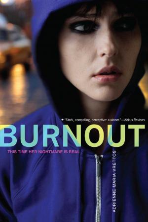 Cover of the book Burnout by D. Anne Love