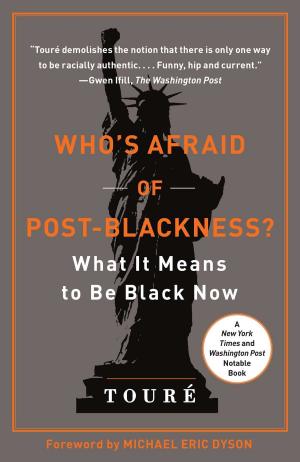 Cover of the book Who's Afraid of Post-Blackness? by Lucy Jo Palladino, Ph.D.