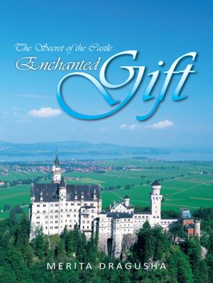 bigCover of the book Enchanted Gift by 