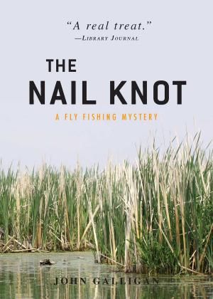 Cover of the book The Nail Knot by C. B. Bryza