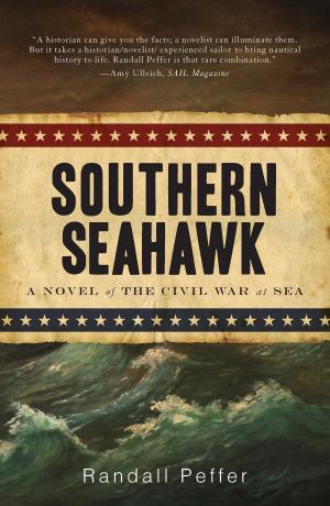 Cover of the book Southern Seahawk by Bridget Boland
