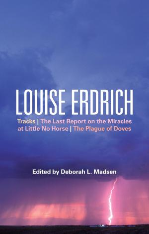 Cover of the book Louise Erdrich by James Worrall
