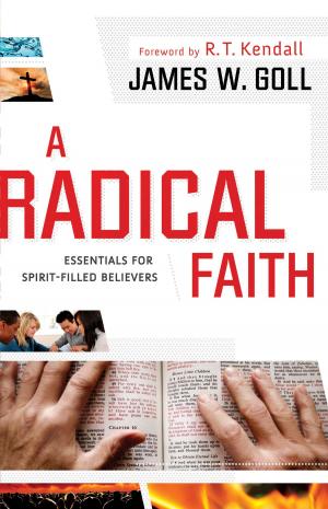 Cover of the book A Radical Faith by John Burke
