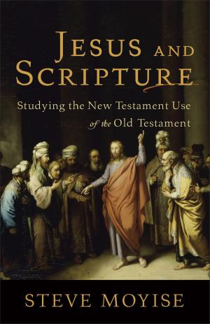 Cover of the book Jesus and Scripture by 