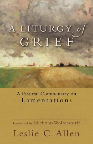 Book cover of A Liturgy of Grief