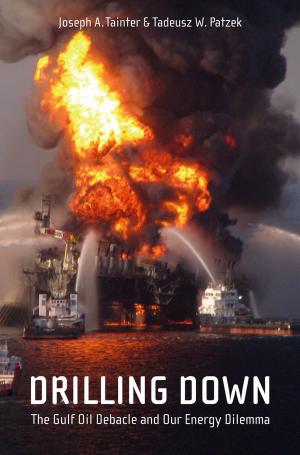 Cover of the book Drilling Down by 