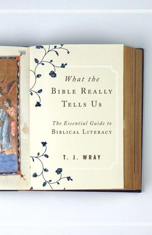 Cover of the book What the Bible Really Tells Us by Maya Götz, Dafna Lemish, Andrea Holler