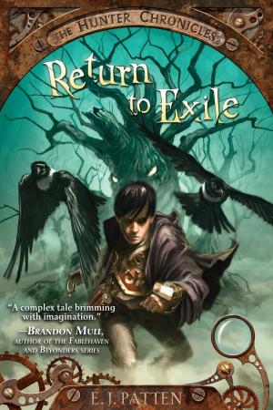 Cover of the book Return to Exile by Elizabeth Taylor
