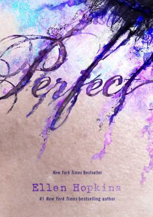 Cover of the book Perfect by Margaret Rogerson