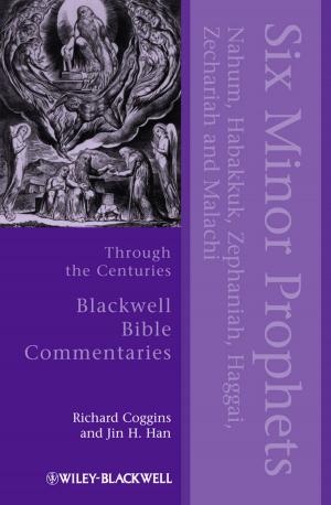 Cover of the book Six Minor Prophets Through the Centuries by Tim Brown, Persefoni Kyritsi, Elizabeth De Carvalho
