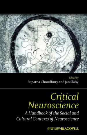 Cover of the book Critical Neuroscience by Claas Junghans, Adam Levy, Rolf Sander, Tobias Boeckh, Jan Dirk Heerma, Christoph Regierer