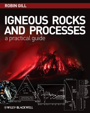 Cover of the book Igneous Rocks and Processes by Ted G. Lewis PhD