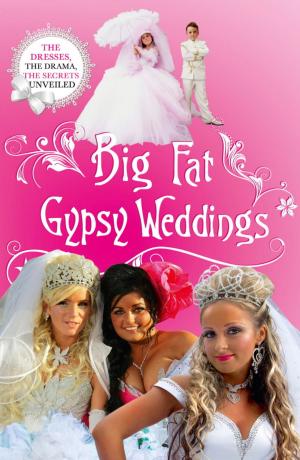 Cover of the book Big Fat Gypsy Weddings by Lindsey Davis