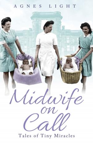 Cover of the book Midwife on Call by Audrey Howard