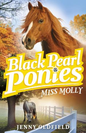 Cover of the book Black Pearl Ponies: Miss Molly by Damian Harvey