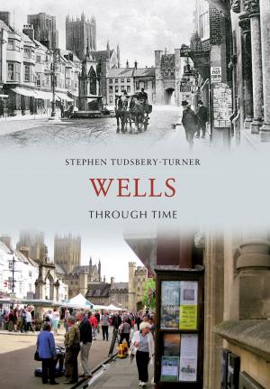 Cover of the book Wells Through Time by Michael Meighan