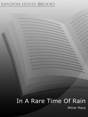 Cover of the book In A Rare Time Of Rain by Ash Nom DePlume