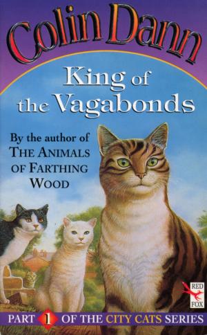 Cover of the book King Of The Vagabonds by Gillian Cross
