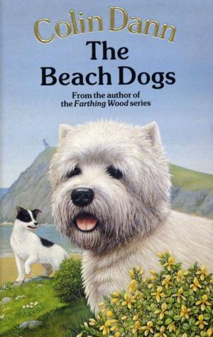 Cover of the book The Beach Dogs by Kes Gray