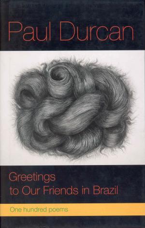 Cover of the book Greetings to Our Friends in Brazil by Barry Jablonski