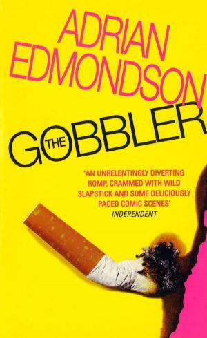 Cover of the book The Gobbler by DP Scott
