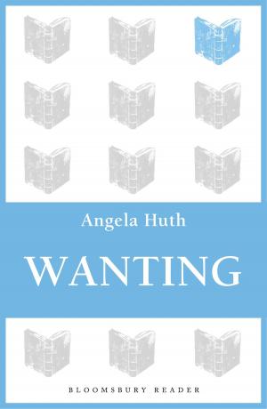 bigCover of the book Wanting by 