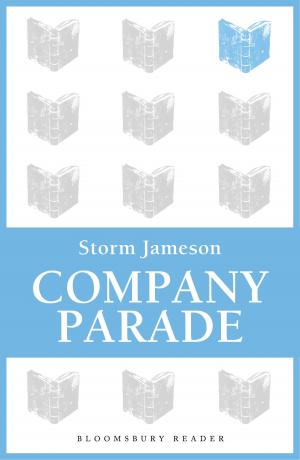 Cover of the book Company Parade by Dr Paul Raven, Nigel Holmes