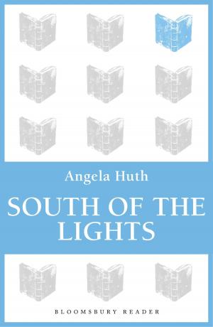 Book cover of South of the Lights
