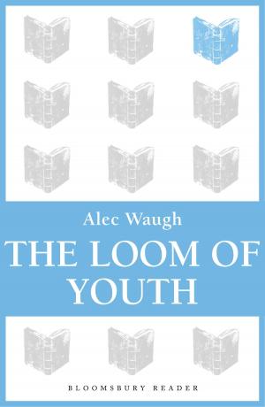 Cover of the book The Loom of Youth by Dr Mathew Guest, Dr Kristin Aune, Dr Sonya Sharma, Dr Rob Warner