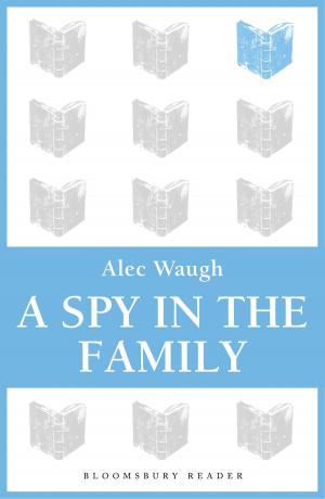 Cover of the book A Spy in the Family by Professor Massimo Fusillo