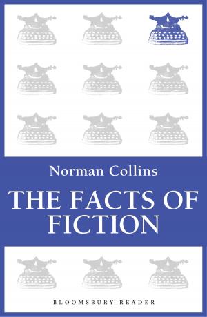 Cover of the book The Facts of Fiction by Dr Elina Pyy