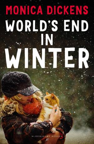 Cover of the book World's End in Winter by Dr Rebecca Bowler