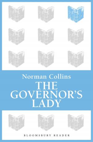 Book cover of The Governor's Lady