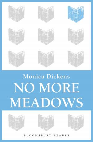Cover of the book No More Meadows by Graeme Marsh
