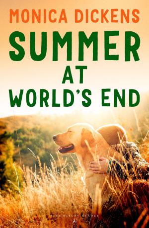 Cover of the book Summer at World's End by Paul Murgatroyd