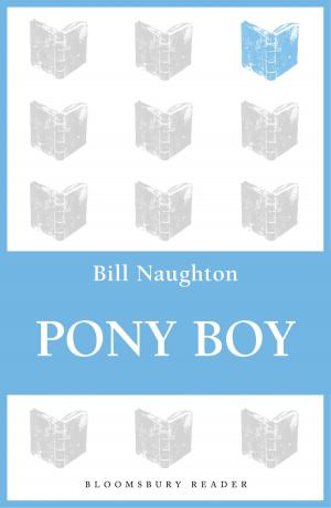 Cover of the book Pony Boy by Jane Aiken Hodge
