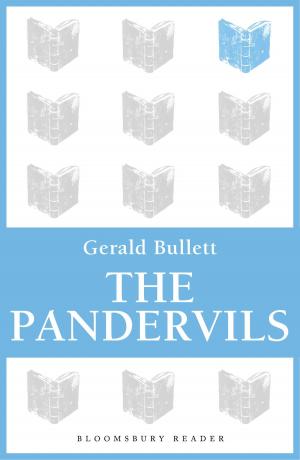 Book cover of The Pandervils