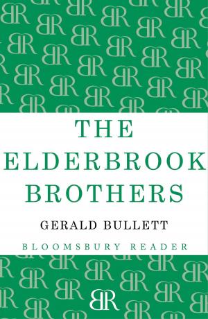 Cover of the book The Elderbrook Brothers by Sian Anna Lewis