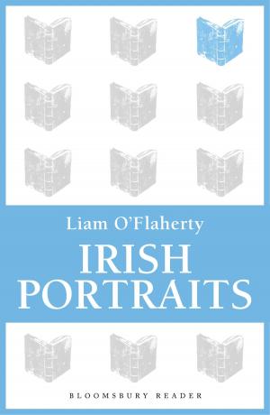 Book cover of Irish Portraits