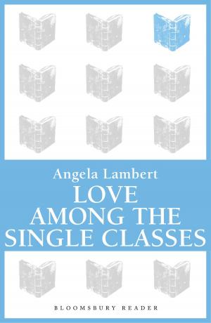 Book cover of Love Among the Single Classes