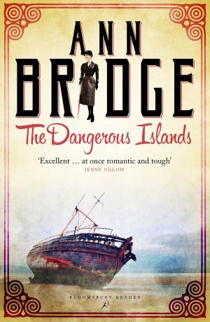 bigCover of the book The Dangerous Islands by 