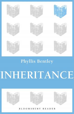 Book cover of Inheritance