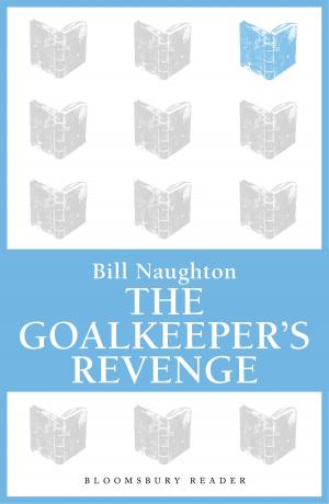 Book cover of The Goalkeeper's Revenge