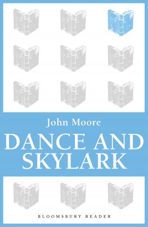 Cover of the book Dance and Skylark by Dr Stephen Turnbull