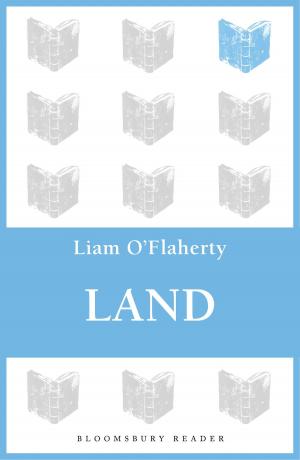 Cover of the book Land by Gerald Bullett