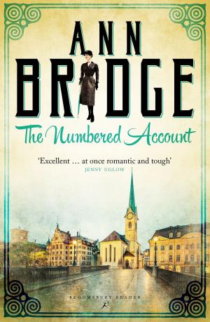 Book cover of The Numbered Account