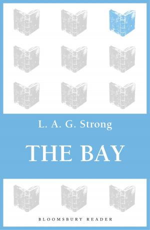 Cover of the book The Bay by Emma Tennant