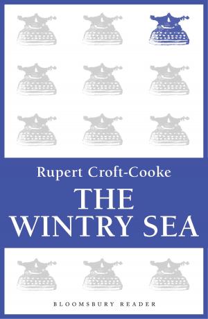 Cover of the book The Wintry Sea by Mr Michael Fordham QC