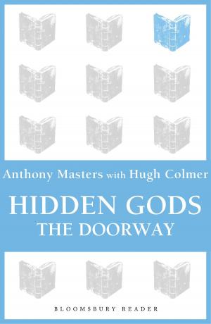 Book cover of Hidden Gods