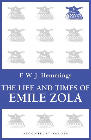 Cover of the book The Life and Times of Emile Zola by St. Clair McKelway